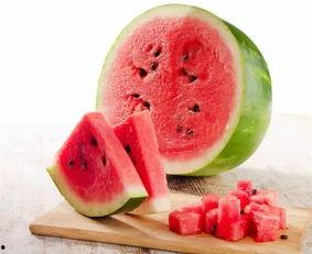 娱乐吃瓜酱青口冻干,揭秘网红美食背后的故事